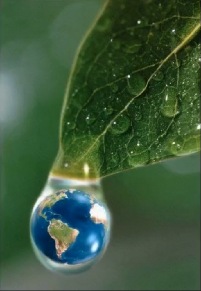 Leaf with Earth Drop